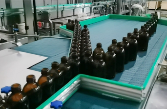 Multi-row chain bottle loading machine